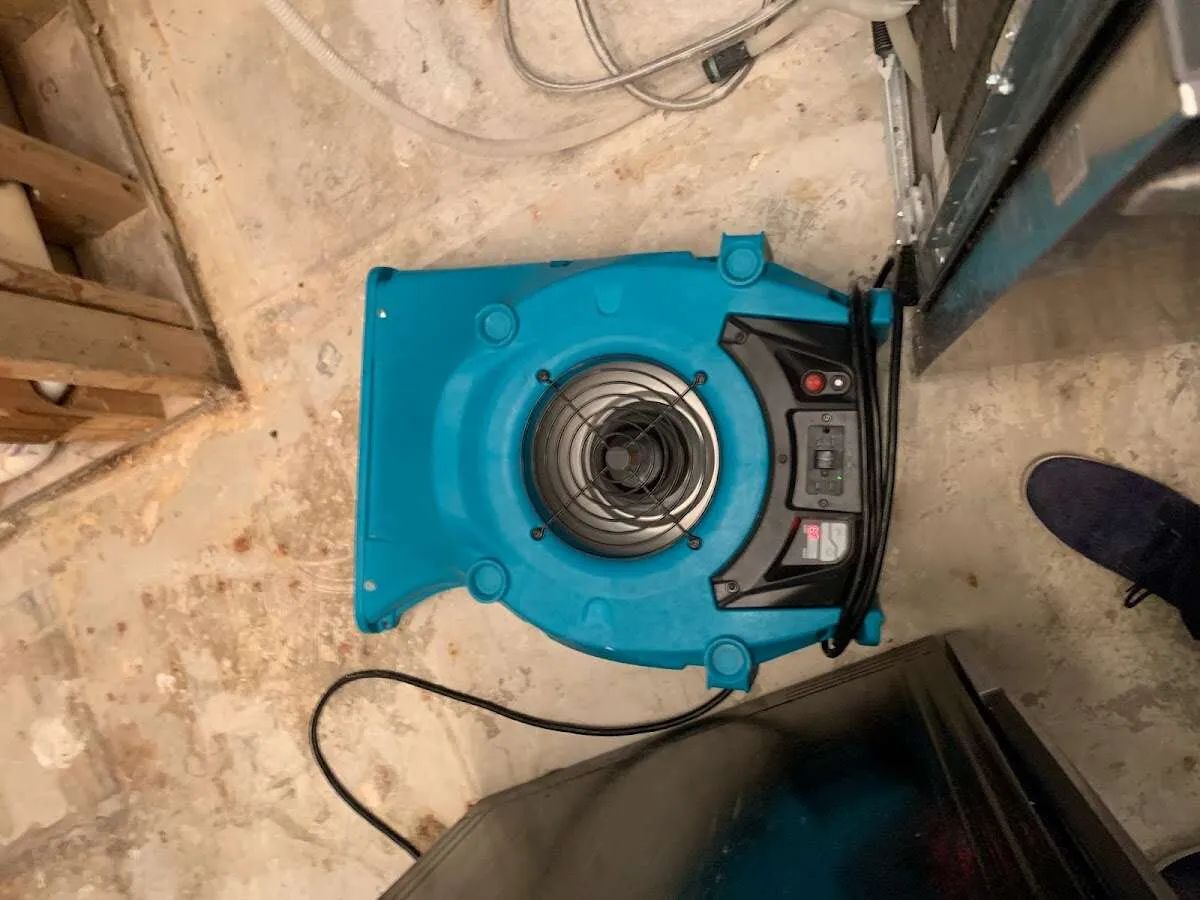 Air mover drying equipment for Mold Remediation & Removal in South Houston